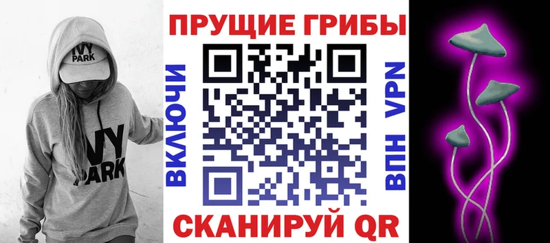 Купить закладки  Юрьевец  Псилоцибиновые грибы мухоморы 